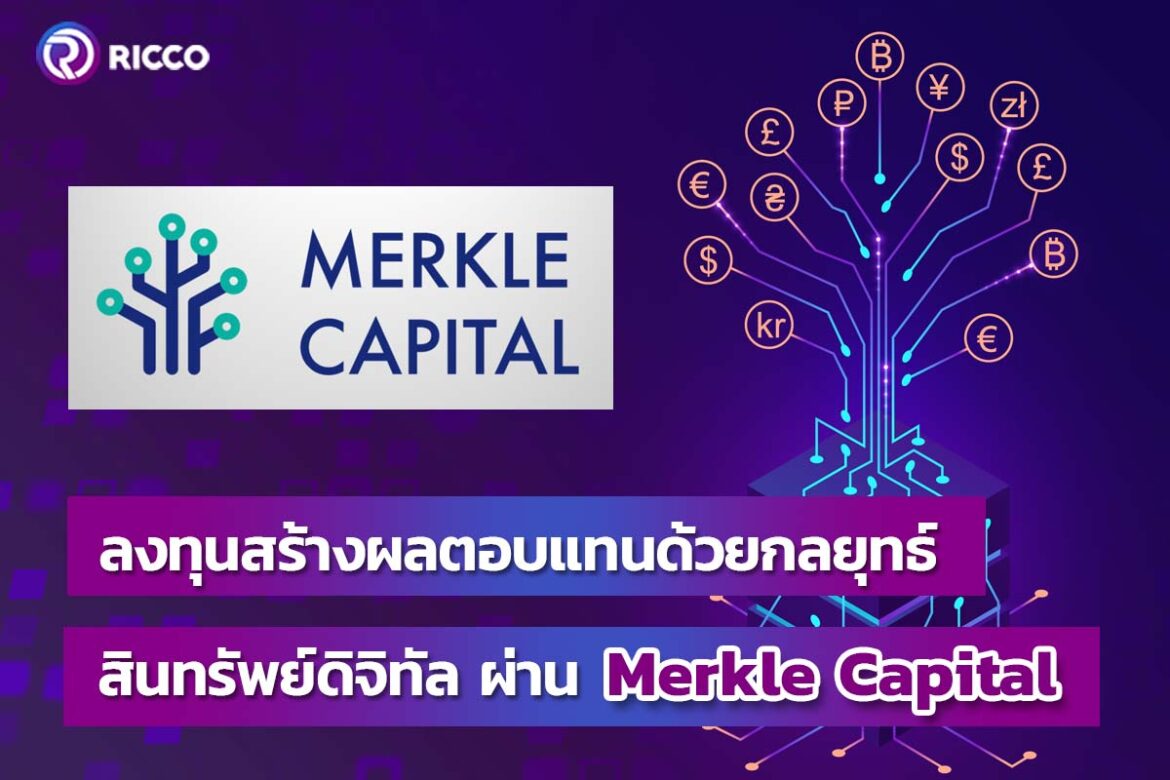Merkle Capital คือ